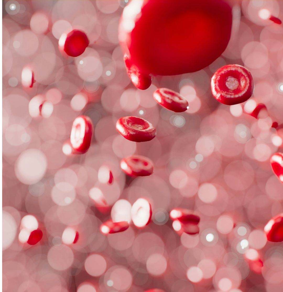 برنامج امراض الدم والهيموفيليا